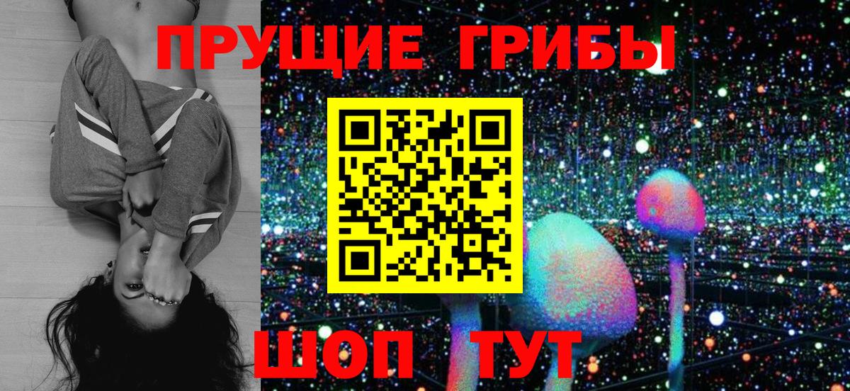 Псилоцибиновые грибы мицелий Усть-Илимск